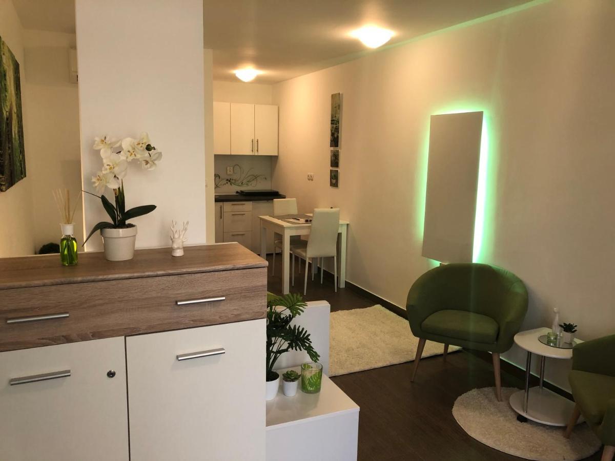 Апартаменты Luxury Central Studio Under The Castle Любляна Экстерьер фото